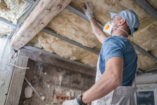Best Energy-efficient Insulation  in Reynoldsville, PA