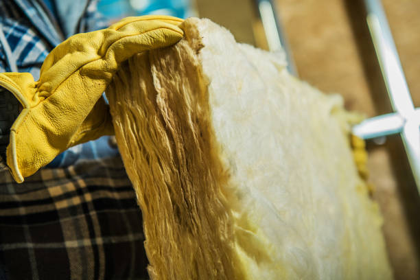 Best Insulation Removal  in Reynoldsville, PA