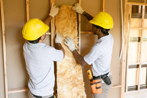Best Professional Insulation Contractor  in Reynoldsville, PA