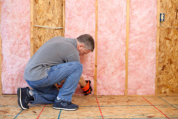 Best Insulation Inspection Services  in Reynoldsville, PA