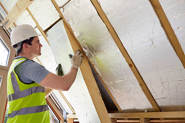 Best Insulation Removal  in Reynoldsville, PA