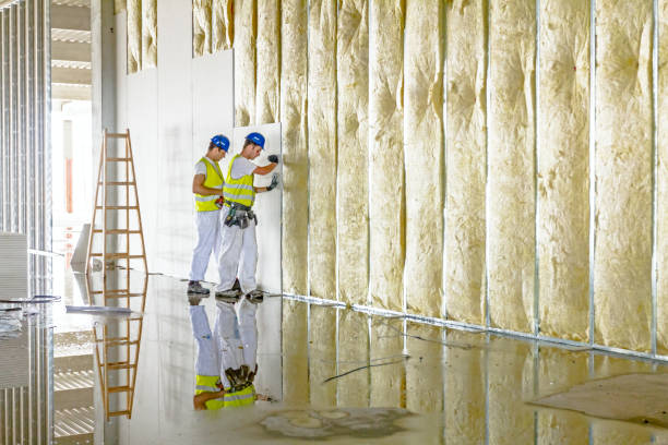 Best Best Insulation Companies  in Reynoldsville, PA